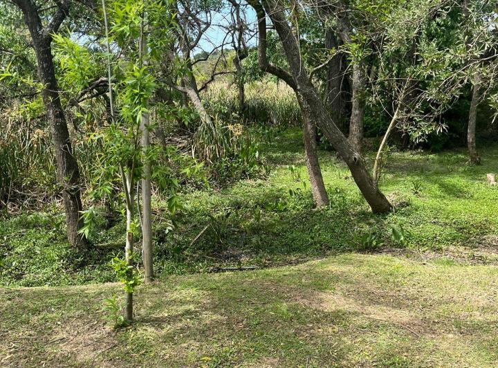 Terreno · 1200m²