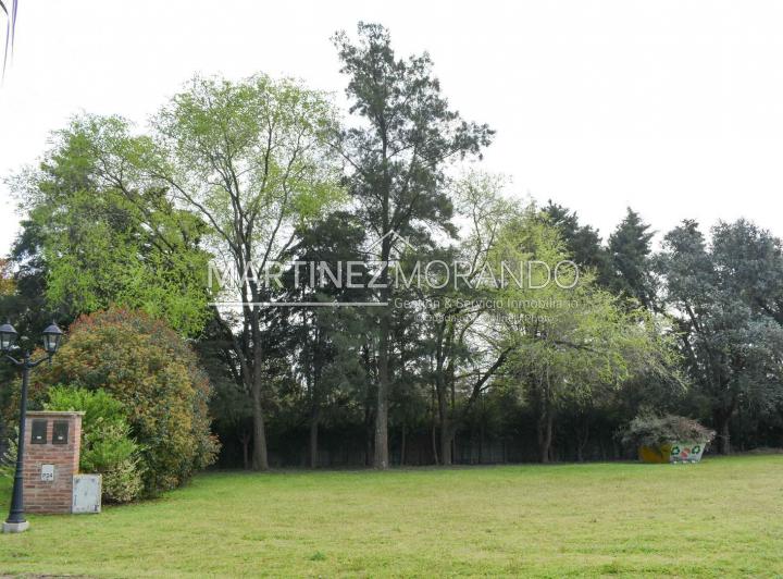 Terreno · 715m²