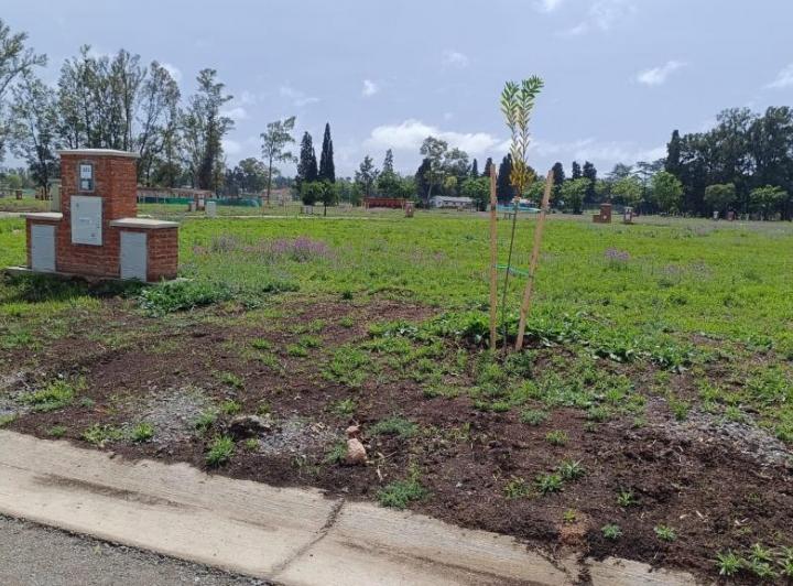 Terreno · 519m²