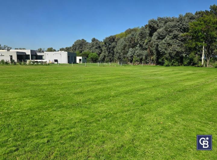 Terreno · 1156m²