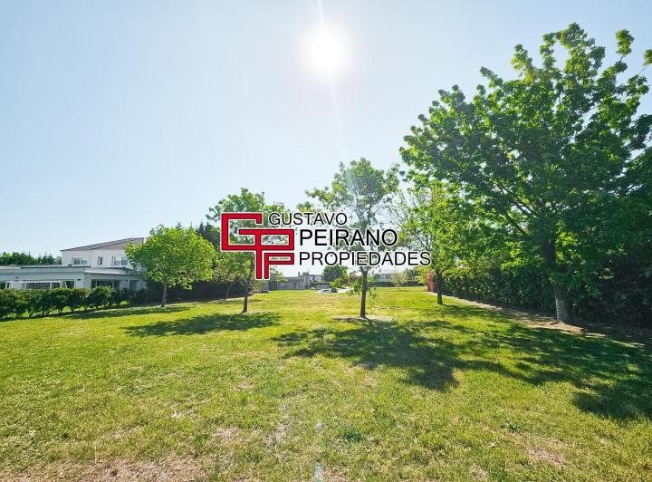 Terreno · 1565m²