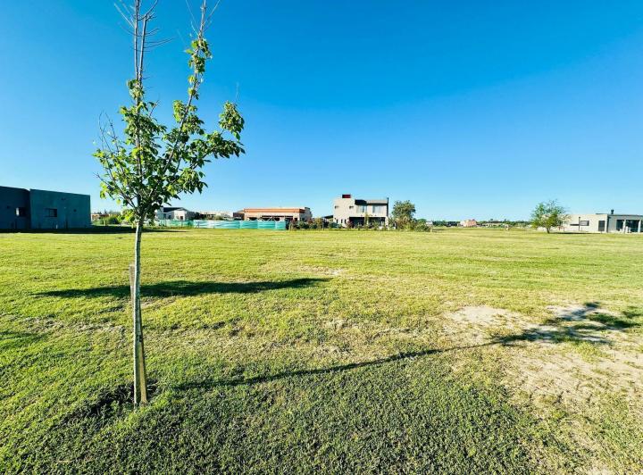 Terreno · 780m²