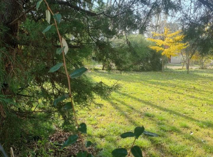 Terreno · 513m²