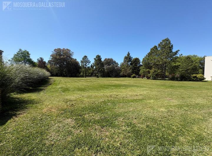 Terreno · 1650m²