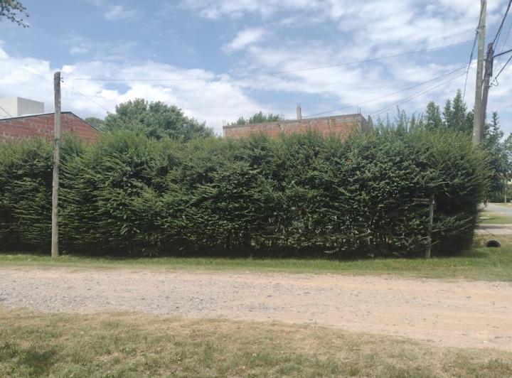 Terreno · 200m²