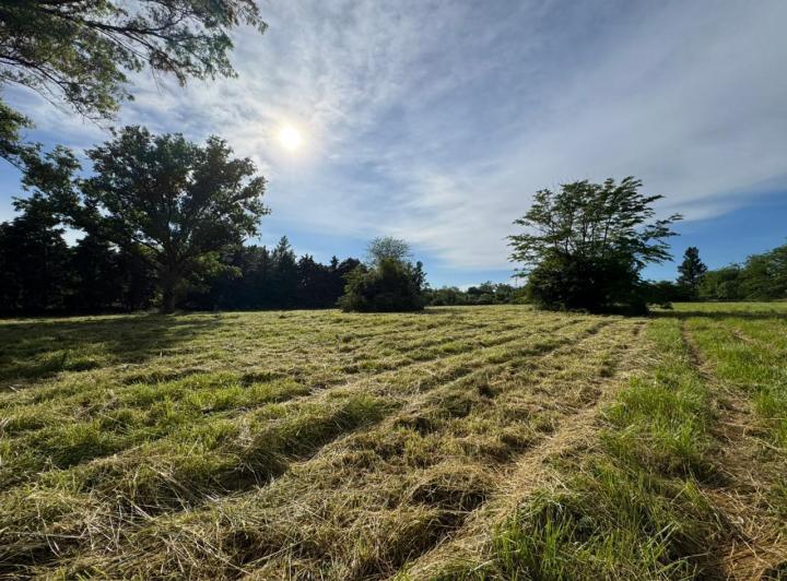 Terreno · 11794m²