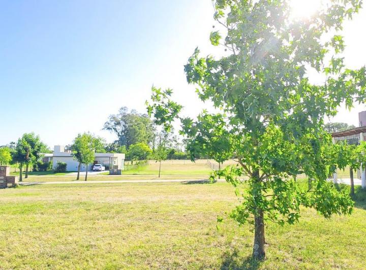 Terreno · 1085m²