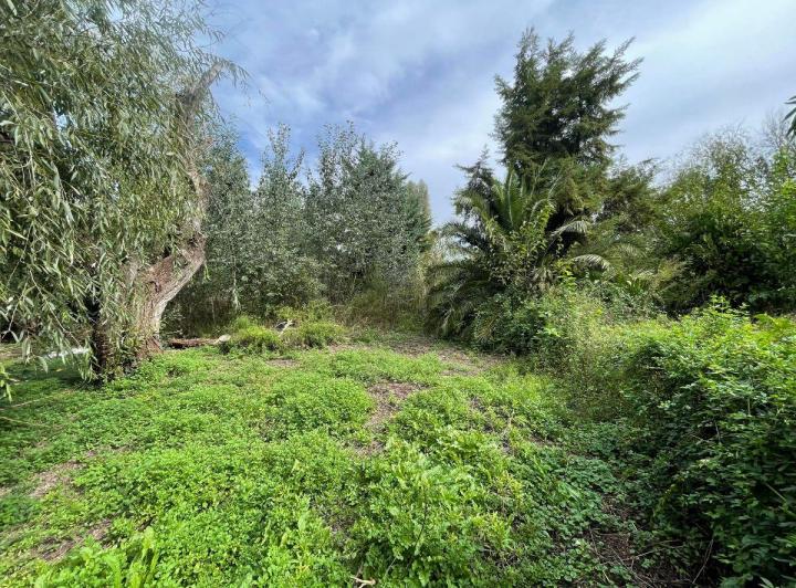Terreno · 1800m²