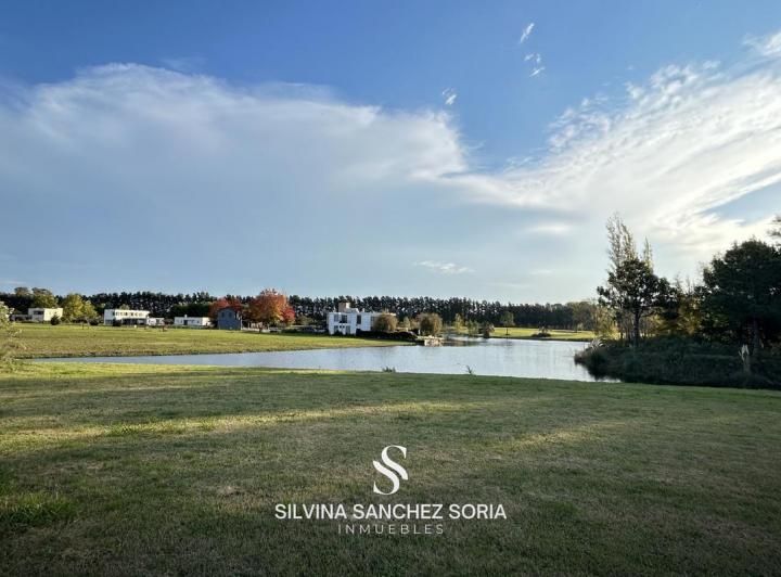 Terreno · 1310m²