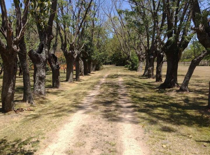 Terreno · 40000m²