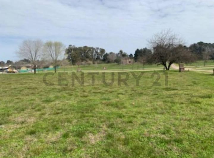 Terreno · 1397m²