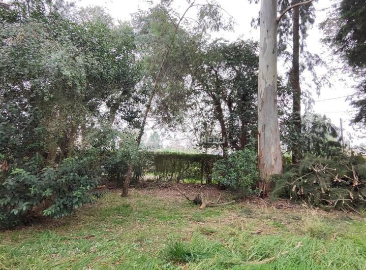Terreno · 730m²