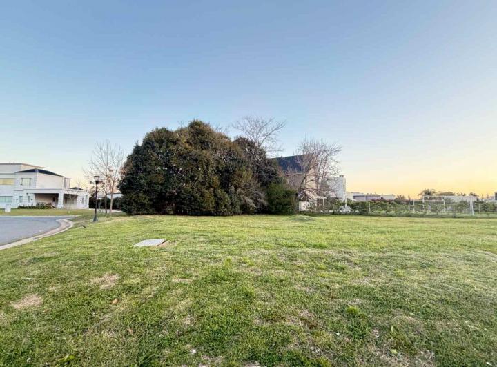 Terreno · 1003m²