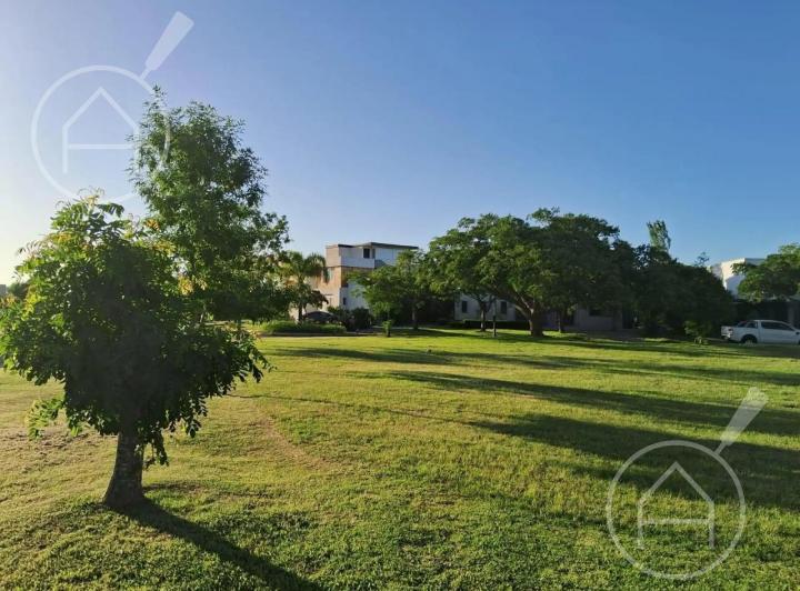 Terreno · 1264m²