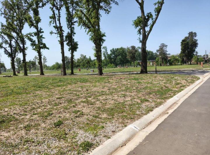 Terreno · 610m²