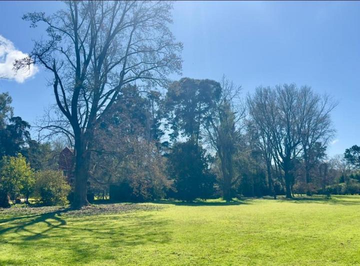 Terreno · 4387m²