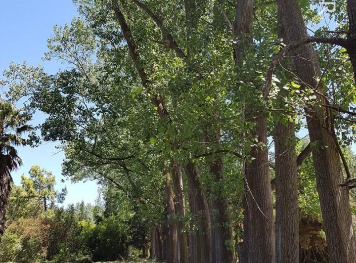 Terreno · 10000m²