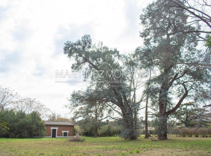 Terreno · 1163m²