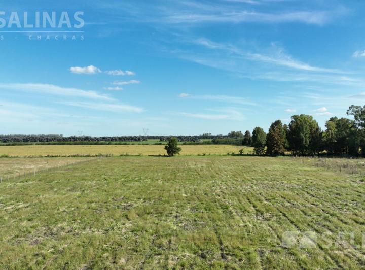 Terreno · 5000m²