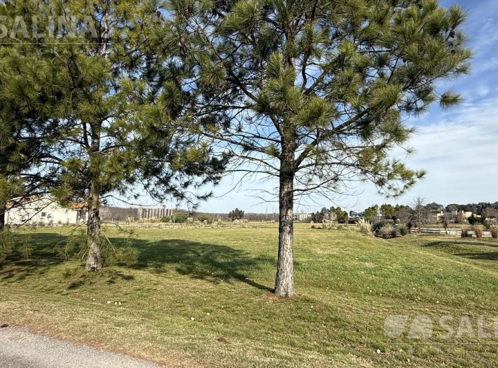 Terreno · 4072m²