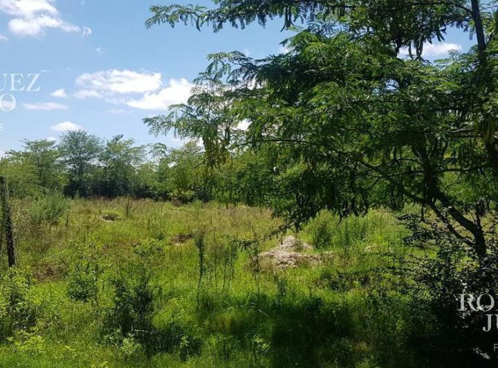 Terreno · 2500m²