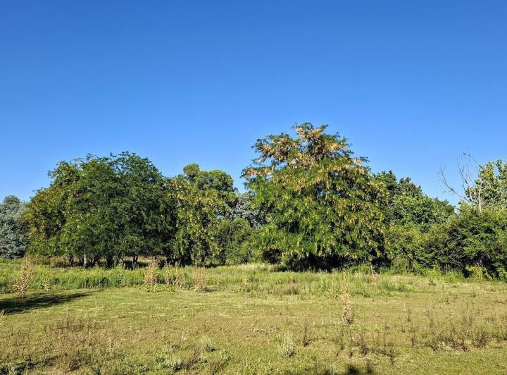 Terreno · 2231m²