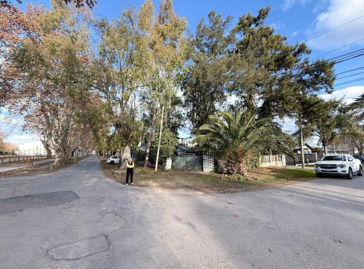 Terreno · 230m²