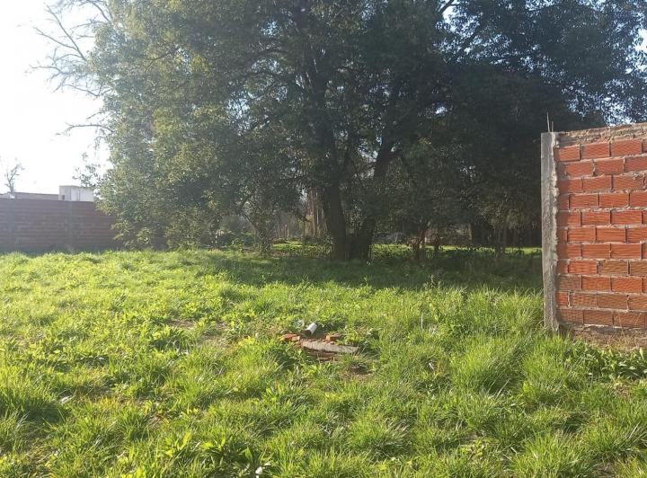 Terreno · 1500m²
