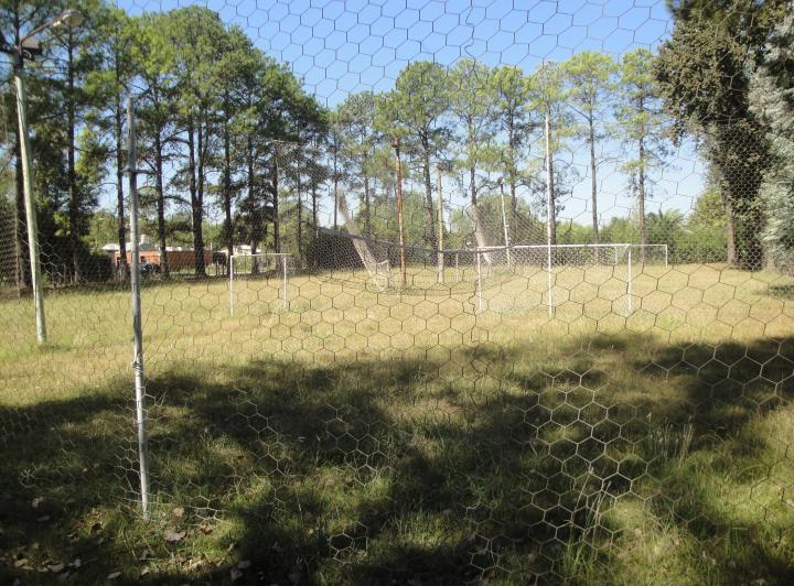 Terreno · 3894m²