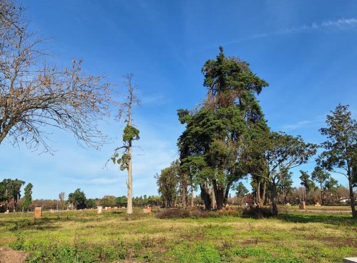 Terreno · 615m²