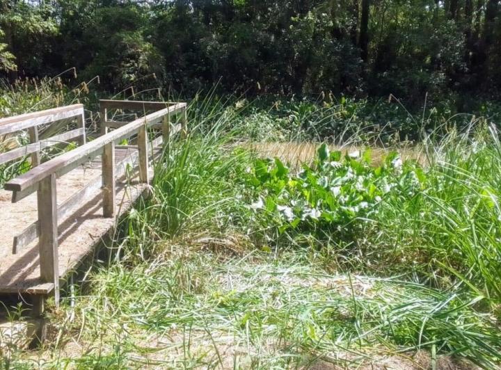 Terreno · 2100m² · 2 Dormitorios