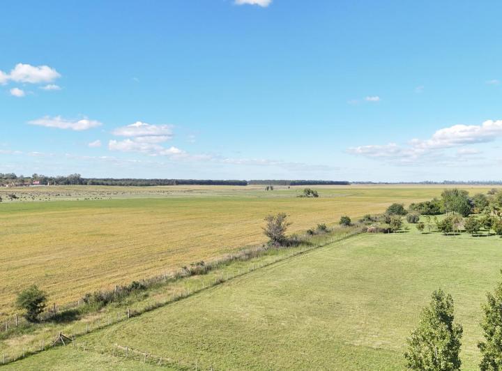 Terreno · 15000m²