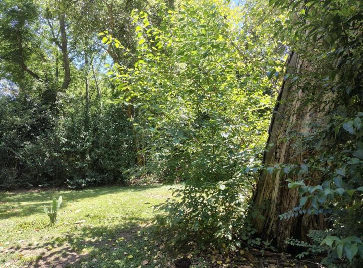 Terreno · 725m²