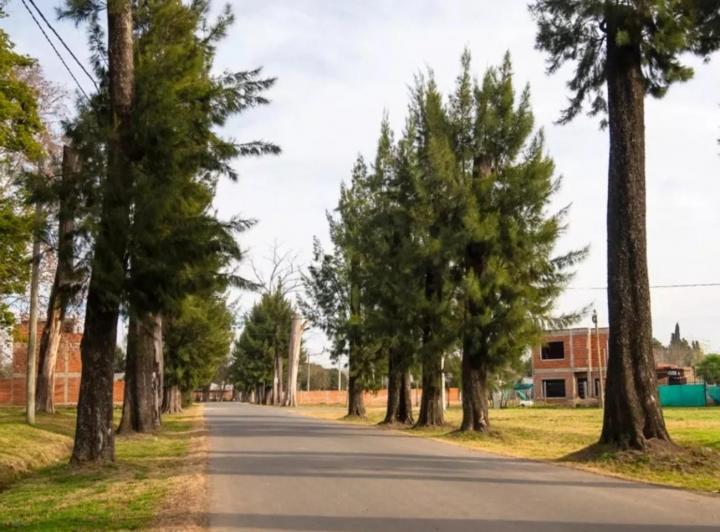 Terreno · 200m²