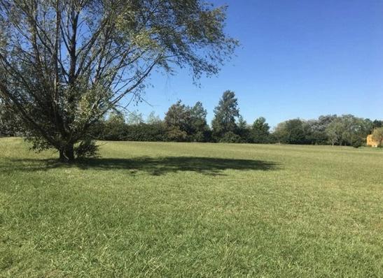 Terreno · 10000m²