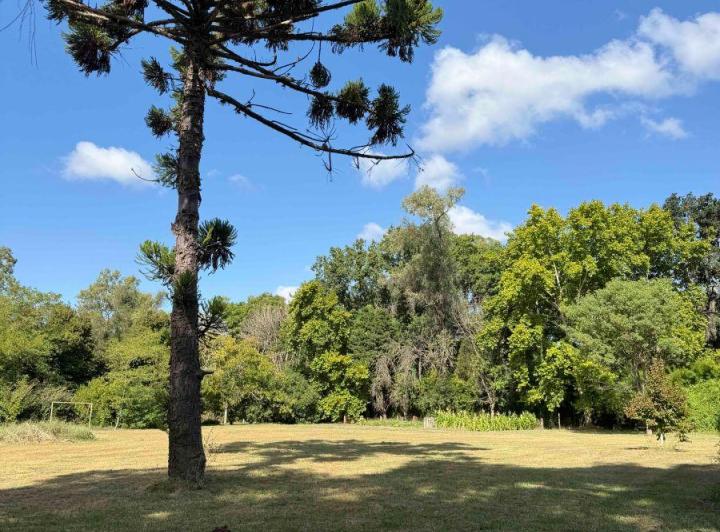 Terreno · 4394m²