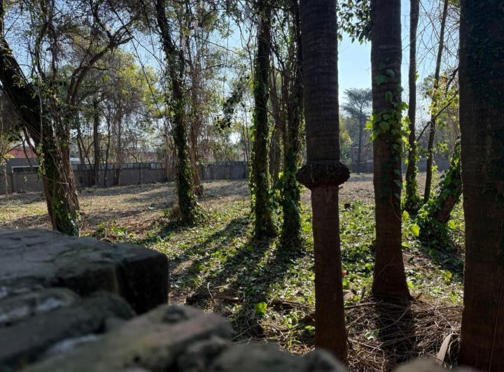 Terreno · 600m²