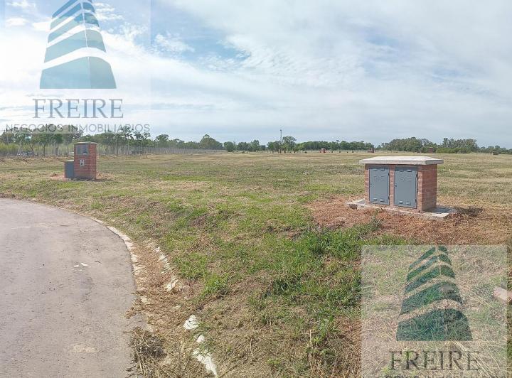 Terreno · 646m²