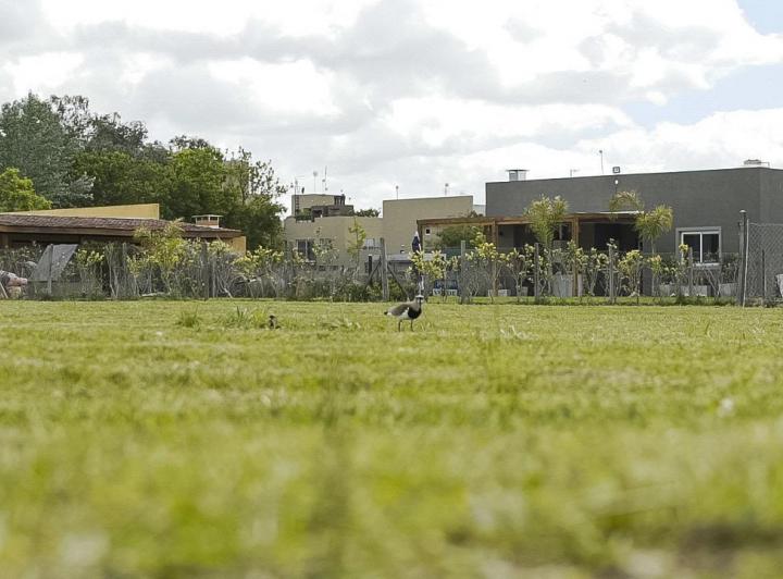 Terreno · 560m²