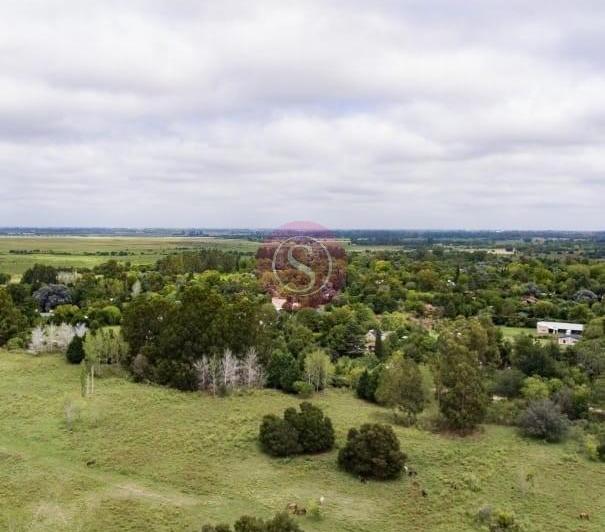 Terreno · 1000m²