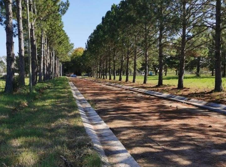 Terreno · 375m²
