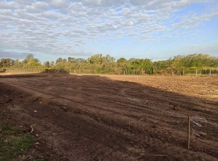Terreno · 10702m²