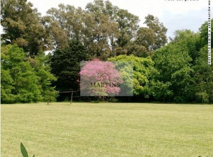Terreno · 620m²