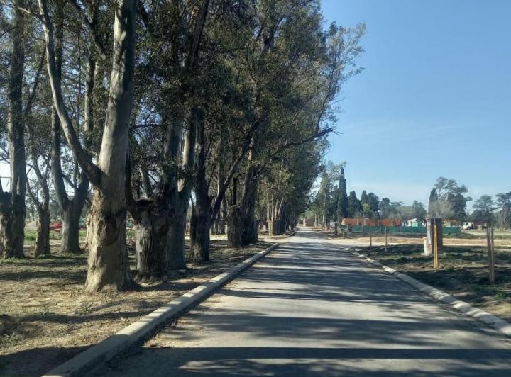 Terreno · 523m²