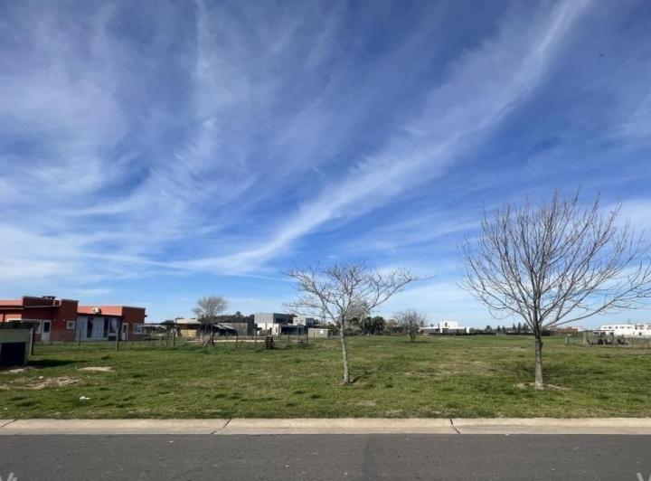 Terreno · 893m²