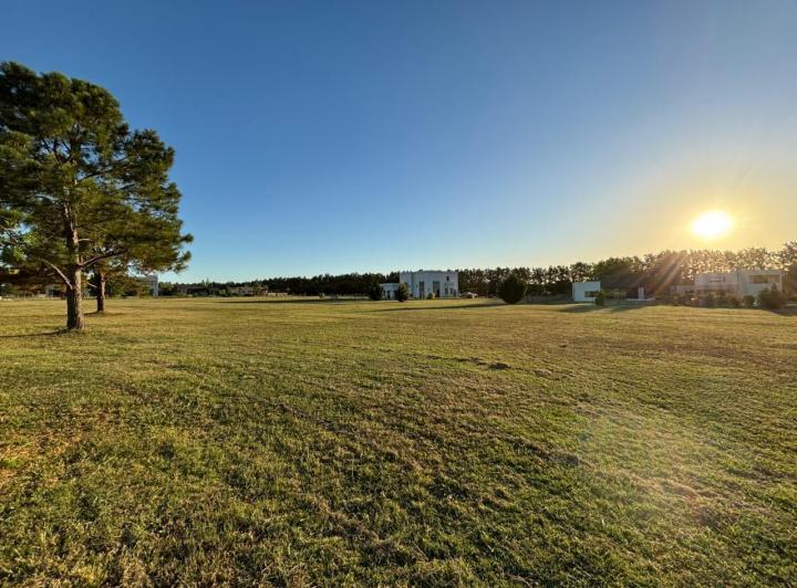 Terreno · 1001m²