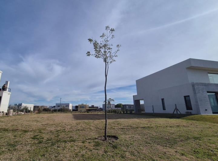 Terreno · 600m²