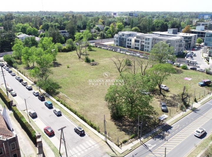 Terreno · 9776m²