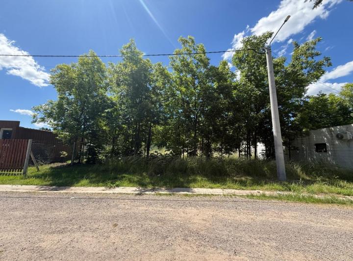 Terreno · 304m²
