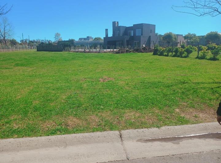 Terreno · 491m²